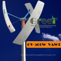 0.3kw Vertical off-Grid System Small Wind Turbine for Sales